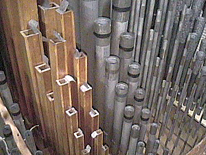 The wooden pipes are Concert Flutes.